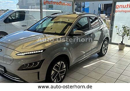 Hyundai Kona Trend Elektro / Glas Schiebe Dach elektr.