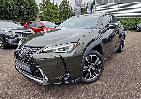 Lexus UX 250h Style Edition