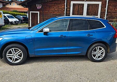 Volvo XC 60 XC60 R Design Plug-In Hybrid AWD,B+W,Pano,HuD,8
