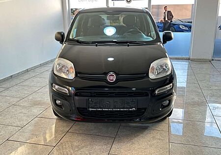 Fiat Panda More 1.2 8V PDC Alu Klima Privacyverglasung Multif