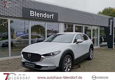 Mazda CX-30 Exclusive-Line 150 Automatik Navi|BOSE|360°|Login