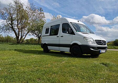 Mercedes-Benz Sprinter 313 CDI 906.631