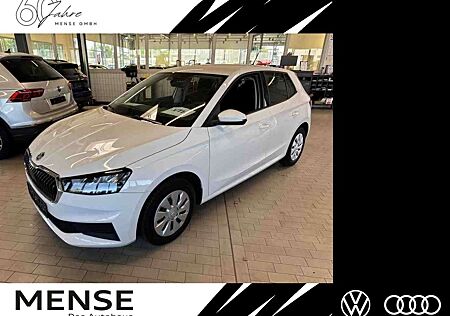 Skoda Fabia 1.0 TSI Active |SpurH|PDC|LED|FLA|Kamera