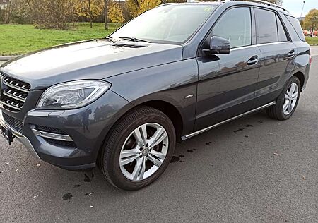 Mercedes-Benz ML 350 CDI BlueTec Luft AHK S-Dach Standhzg. ACC