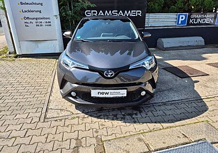 Toyota C-HR Hybrid Team D