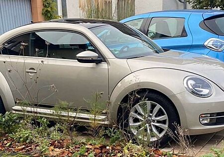 VW Beetle Volkswagen The 1.2 TSI DSG CUP