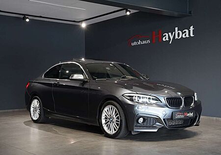 BMW 220 d Coupe M Sport Navi Prof-LED-Kamera-GSD-Keyl
