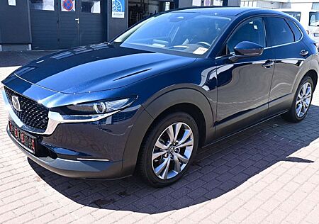 Mazda CX-30 Takumi *ACC*360*HUD*LEDER*LED*BOSE