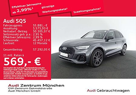 Audi SQ5 TDI tiptr. StdHzg/Matrix/Massage