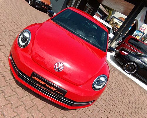 Volkswagen Beetle Lim. Sport, Fender Edition, Leder , Xenon