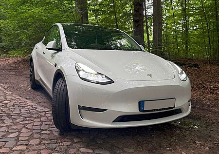 Tesla Model Y Long Range Dual Motor AWD
