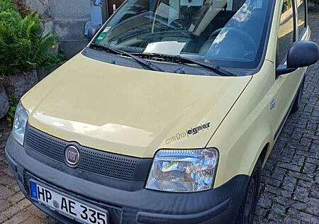 Fiat Panda Ohne TÜV