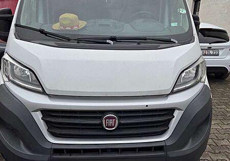 Fiat Ducato Maxi Multicab L4H2