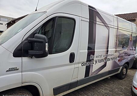 Fiat Ducato Maxi Multicab L4H2