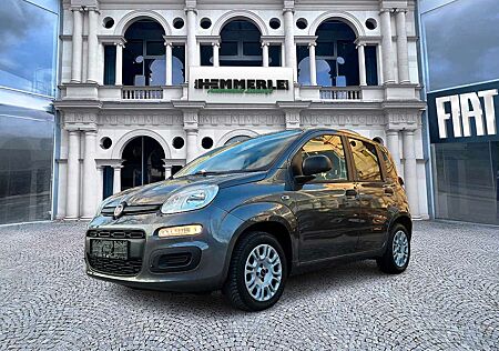 Fiat Panda Easy 1.2 *TÜV neu*Allwetterreifen*Klima*