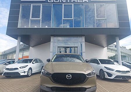 Mazda CX-30 2.5L e-SKYACTIV G 140ps Nagisa,Automatik,sofort