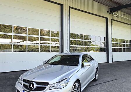 Mercedes-Benz E 400 (207.361)