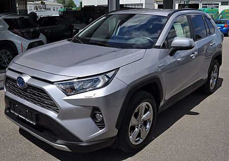 Toyota RAV 4 Hybrid 4x4 Team Deutschland