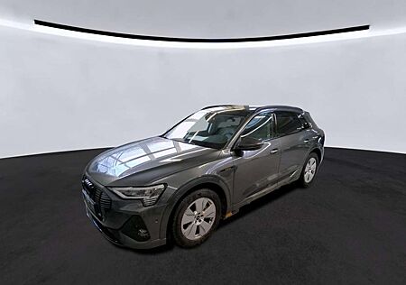 Audi e-tron 55 S LINE BLACK 21Z./ACC/360°/DIGI-MTRX