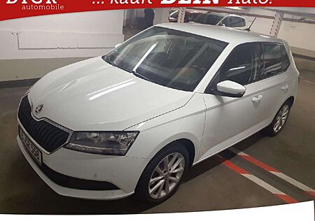 Skoda Fabia 1.0 TSI DSG Ambition NAVI/SHZ/DAB/PDC/8Fa