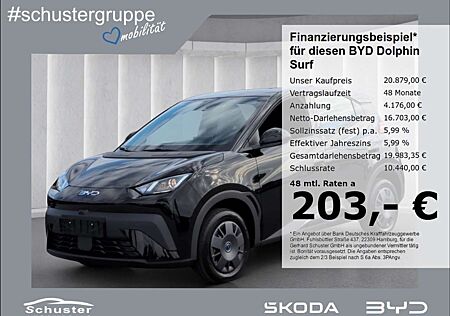 BYD Dolphin Active*ACC Navi R-Kam Leder Keyless
