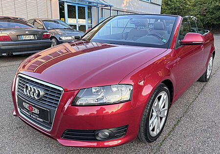 Audi A3 1.6 Cabriolet Ambition*1.HAND-EURO 4-ALU-WR*