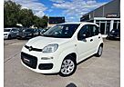 Fiat Panda Pop *Klima*HU/AU Neu