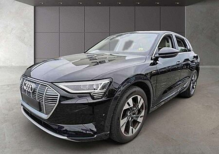 Audi e-tron 55 ADVANCED/20Z./LED/DAB/NAVI+/AIR-SUS/VC