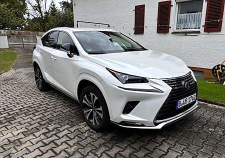 Lexus NX 300 NX 300h NX+300h+Style+Line mit 8 Jahre Garantie