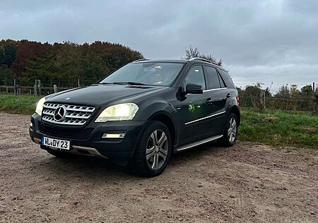 Mercedes-Benz ML 300 CDI BlueEfficiency 4Matic (164.121)