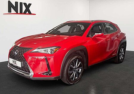 Lexus UX 300e