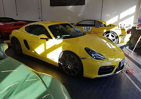 Porsche Cayman GTS PDK / Burmester / PDC / Alcantara / Scheckheft