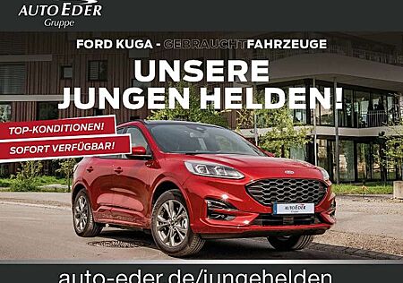 Renault Clio Evolution Bluetooth LED Klima Einparkhilfe