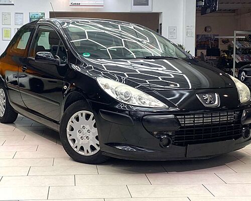 Peugeot 307 1.6 Grand Filou Cool Klima Servo el.FH 5-trg