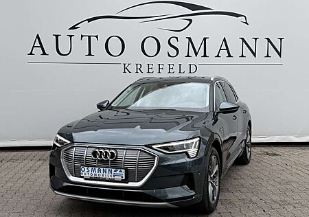 Audi e-tron 55 quattro advanced PANO PANO B&O