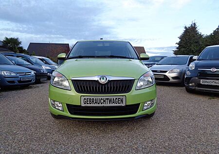 Skoda Fabia Fahrradträger -Anhängerkupplung