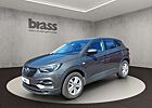 Opel Grandland X 1.5 D Business Edition (EURO 6d)