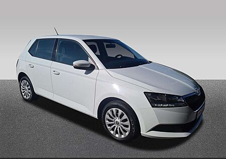Skoda Fabia Cool Plus 1.0 MPI+Winterräder