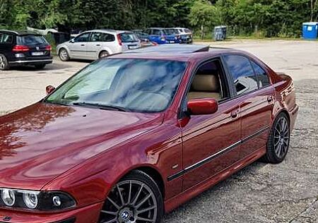 BMW 535 Liebhaberfahrzeug sucht neues Zuhause