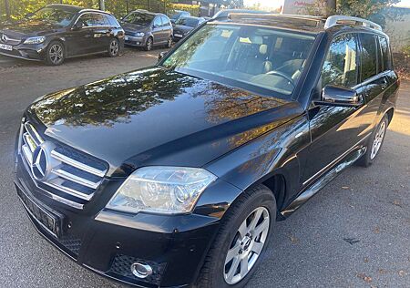 Mercedes-Benz GLK 220 CDI BlueEfficiency (204.902)