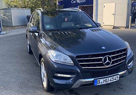 Mercedes-Benz ML 350 CDI BlueTec (166.024)