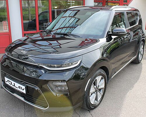 Kia Soul Spirit EV Navi Ganzjahresreifen
