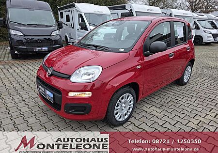 Fiat Panda MY25 Pandina POP Hybrid | PDC | TOP