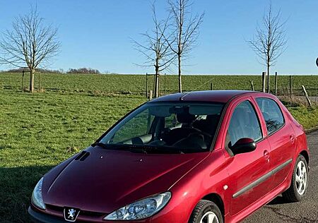 Peugeot 206 75 Petit Filou