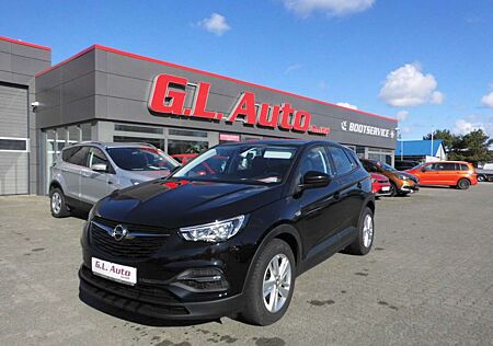 Opel Grandland X /NAVI/PDC/TEMPO/KLIMA/DAB/SPUR
