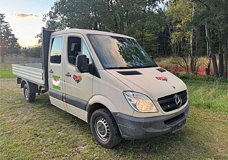 Mercedes-Benz Sprinter 316 CDI DOKA Pritsche, AHK, Standheizung 7Sitzer