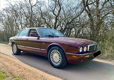 Jaguar XJ8