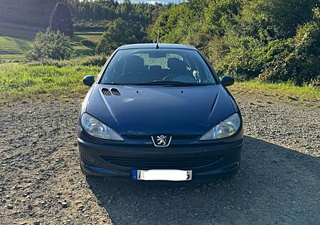 Peugeot 206 Perfekt als Winterauto