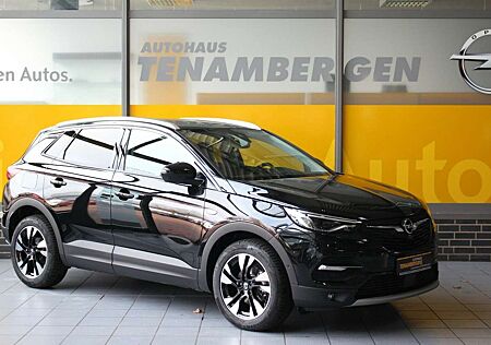 Opel Grandland X Ultimate Leder 360°Kamera DAB