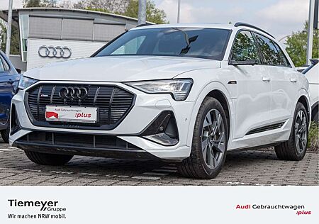 Audi e-tron 50 Q 2 x S LINE V-SPIEGEL PANO 2xASSIST M